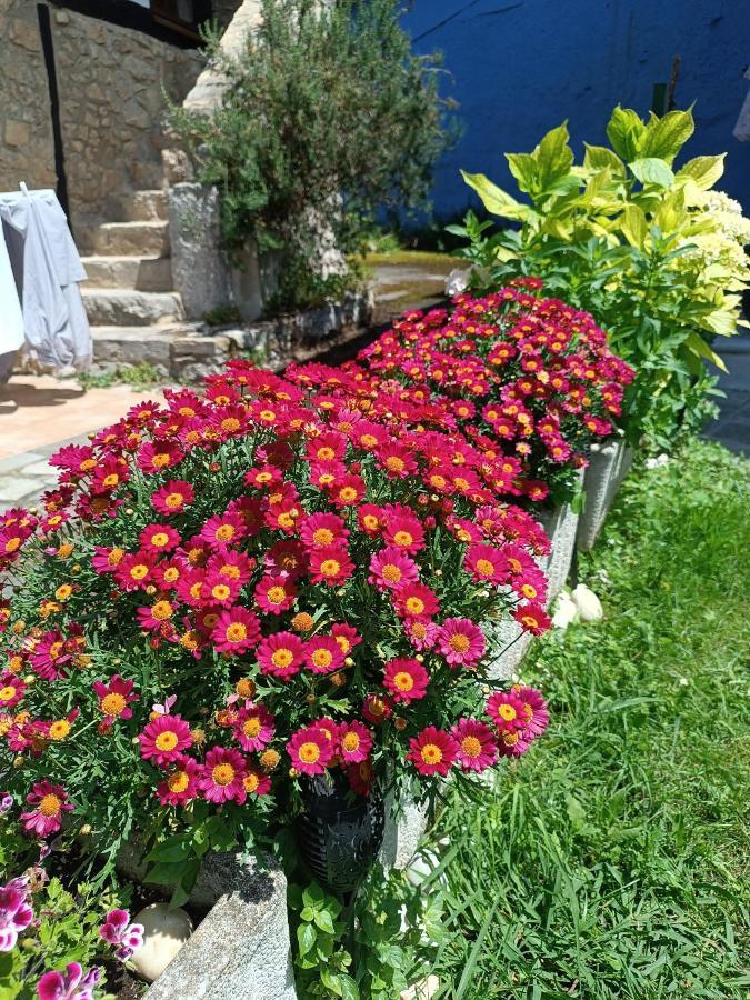 Romantico Acogedor Apartamento En Llanes Buitenkant foto
